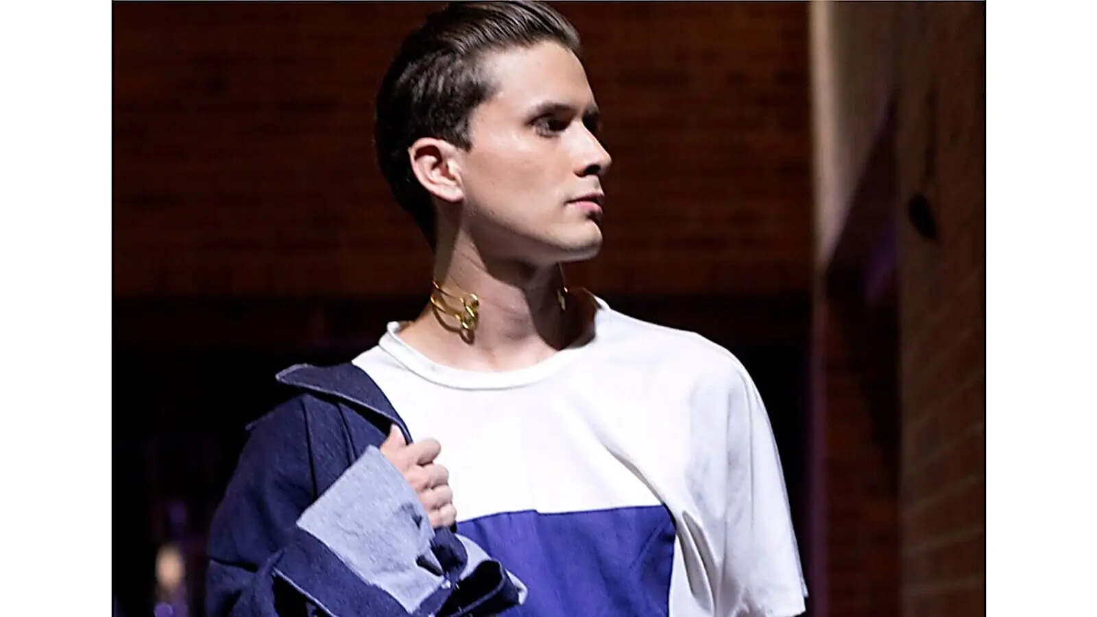 Enter JoseFox VIP Show